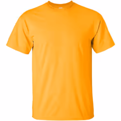 Gildan - T-shirt à manches courtes - Homme (Or)