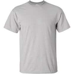 Gildan - T-shirt à manches courtes - Homme (Gris glace)