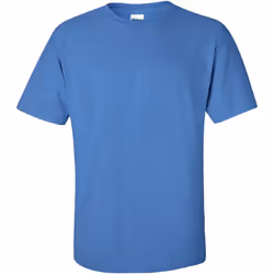 Gildan - T-shirt à manches courtes - Homme (Iris)