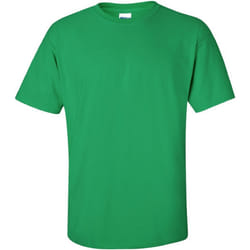 Gildan - T-shirt à manches courtes - Homme (Vert irlandais)
