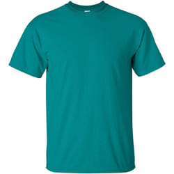 Gildan - T-shirt à manches courtes - Homme (Jade)