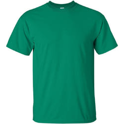Gildan - T-shirt à manches courtes - Homme (Vert tendre)