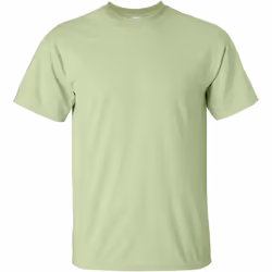 Gildan - T-shirt à manches courtes - Homme (Pistache)