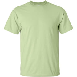 Gildan - T-shirt à manches courtes - Homme (Pistache)