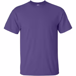 Gildan - T-shirt à manches courtes - Homme (Violet)