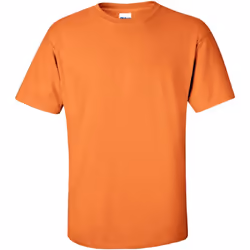 Gildan - T-shirt à manches courtes - Homme (Mandarine)