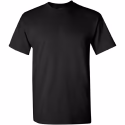 Gildan - T-shirt - Homme (Noir)