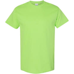 Gildan - T-shirt - Homme (Vert citron)