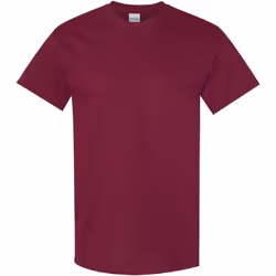 Gildan - T-shirt - Homme (Marron)