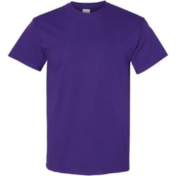 Gildan - T-shirt - Homme (Violet)