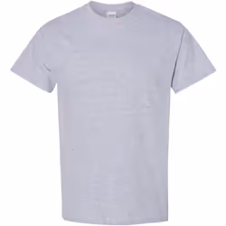 Gildan - T-shirt - Homme (Gris)