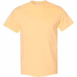 Gildan - T-shirt - Homme (Champagne)