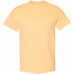 Gildan - T-shirt - Homme (Champagne)