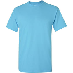 Gildan - T-shirt - Homme (Bleu ciel)