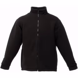 Regatta Asgard II - Veste polaire - Homme (Noir)