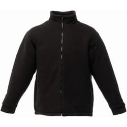 Regatta Asgard II - Veste polaire - Homme (Noir)