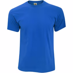Fruit of the Loom - T-shirt ORIGINAL - Homme (Bleu roi)