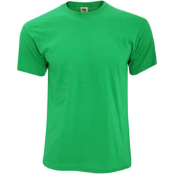 Fruit of the Loom - T-shirt ORIGINAL - Homme (Vert tendre)