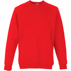 Fruit Of The Loom - Sweat - Unisexe (Rouge)