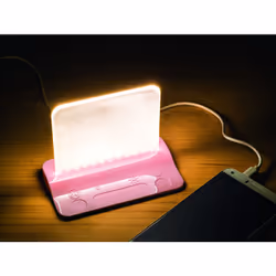 Integral LED ILTL-PK lampe de table G Rose