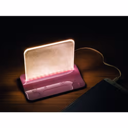 Integral LED ILTL-PK lampe de table G Rose