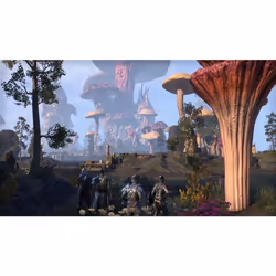 Bethesda The Elder Scrolls Online : Morrowind Standard Allemand, Anglais, Français PlayStation 4 - Vue supplémentaire 4