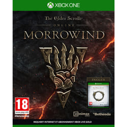 Bethesda The Elder Scrolls Online : Morrowind Standard Allemand, Anglais, Français Xbox One
