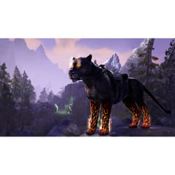 Bethesda The Elder Scrolls Online : Summerset