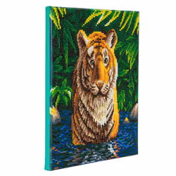 CRAFT Buddy Tiger Pool