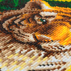 CRAFT Buddy Tiger Pool