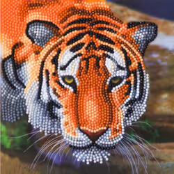 CRAFT Buddy Tiger, Kit de loisirs créatifs pour enfants, 6 an(s), Multicolore