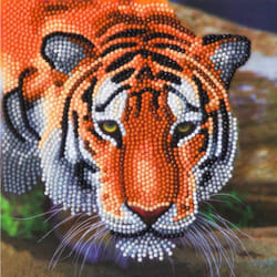 CRAFT Buddy Tiger
