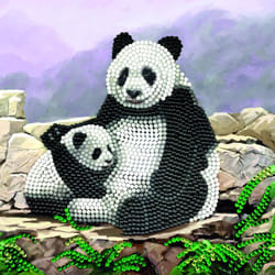 CRAFT Buddy Panda
