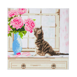 CRAFT Buddy Cat