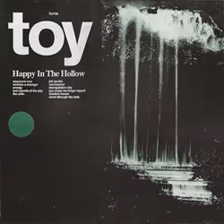 ImportCDs Happy in the Hollow, Pop rock, Vinyl, Support physique, Adulte, 1 disques, 24/01/2019