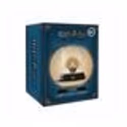 Mini Lampe sous Cloche Harry Potter : Hermione - PALADONE