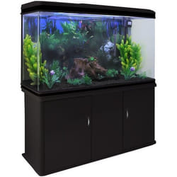 Aquarium - 300 litres - Noir - Meuble - Verre
