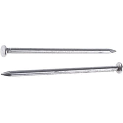 Rs Pro - Clous à tête ronde à tête ronde diam. 100mm (Plat rond), en Acier ( Prix pour Sachet de 1 )