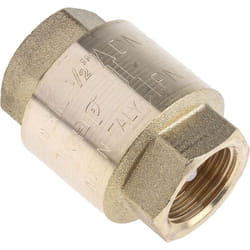 Rs Pro - Clapet antiretour en Laiton 1/2 in bspp ( Prix pour 1 )