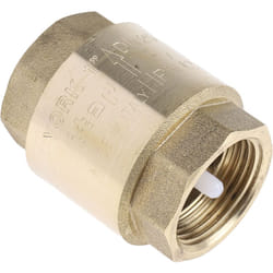 Rs Pro - Clapet antiretour en Laiton bspp 1' ( Prix pour 1 )
