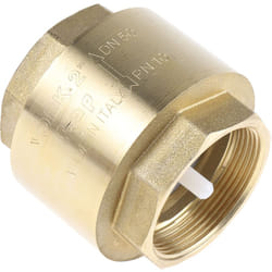 Rs Pro - Clapet antiretour en Laiton bspp 2' ( Prix pour 1 )