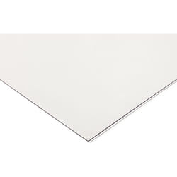 Rs Pro - Plaque petg Incolore, 1200mm x 620mm x 2mm ( Prix pour 1 )