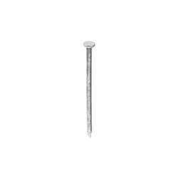 Clous à tête ronde à tête ronde RS PRO, diam. 75mm (Plat rond), en Acier ( Prix pour Sachet de 1 )