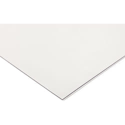 Rs Pro - Plaque petg Incolore, 1250mm x 1250mm x 1mm ( Prix pour 1 )