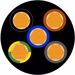 Nombre de conducteurs = 5 Section = 6 mm² Couleur de gaine = Noir Courant = 45 A Longueur = 100m Tension = 450 V, 750 V Diamè ...