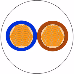 Nombre de conducteurs = 2 Section = 1 mm² Couleur de gaine = Blanc Courant = 10 A Longueur = 100m Tension = 300 V, 500 V Diam ...