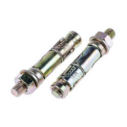 Rs Pro - Bouclier d en Acier au carbone M10, 16mm x 60mm ( Prix pour Sachet de 10 )