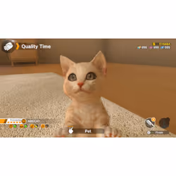 Sold Out Little Friends : Dogs & Cats Standard Nintendo Switch