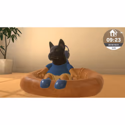 Sold Out Little Friends : Dogs & Cats Standard Nintendo Switch