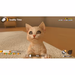 Nintendo Little Friends: Dogs and Cats (Switch) Standard Néerlandais, Anglais Nintendo Switch
